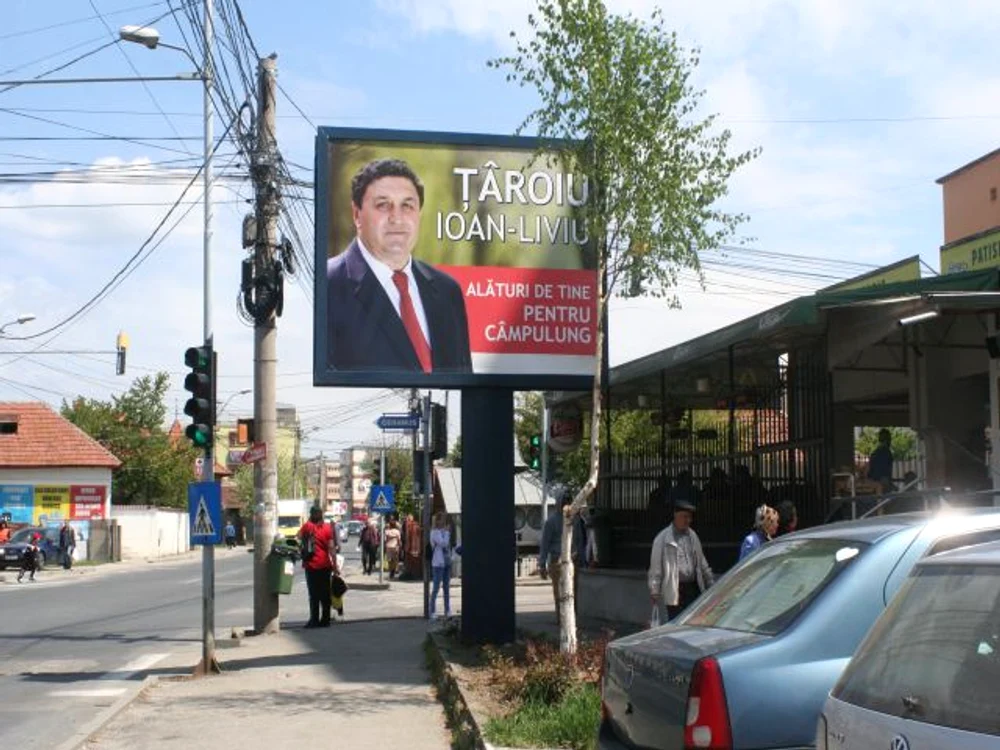 
    Din mesteacănul care acoperea afişul candidatului Liviu Ţâroiu a rămas un ciotFoto: Cătălin Ion Butoiu  