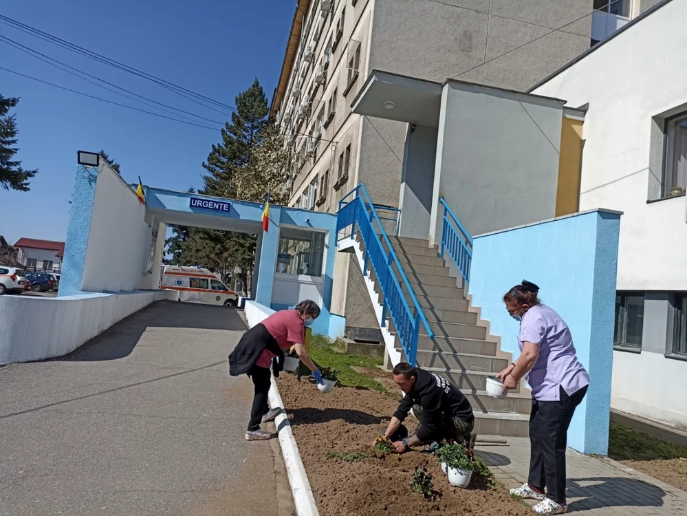 Florile au fost plantate în incinta a două unităţi medicale                                  FOTO: SJU Târgu Jiu