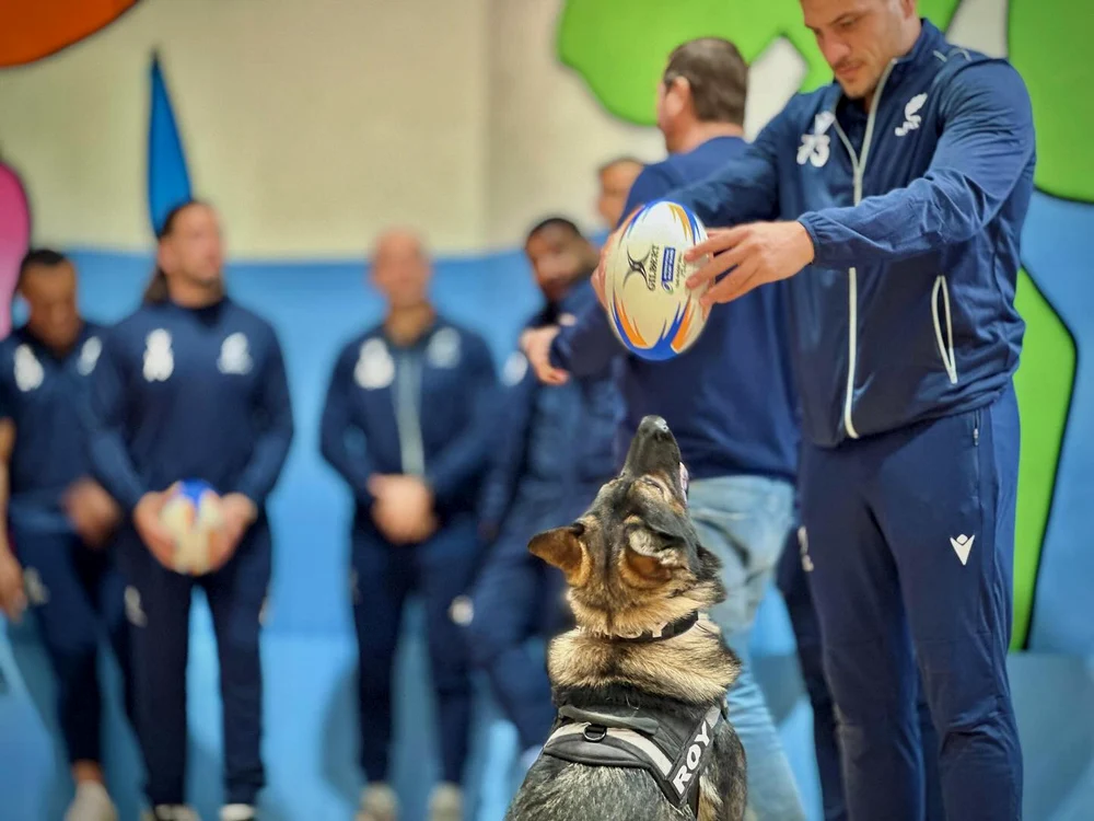 Roy, fascinat de balonul de rugby