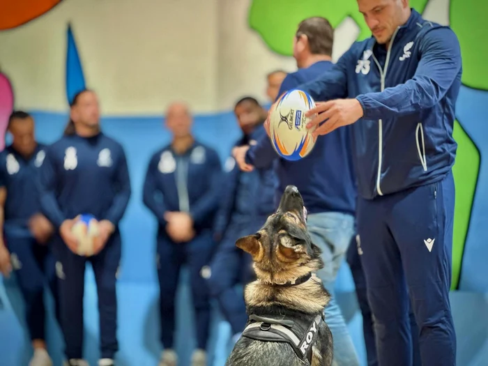 Roy, fascinat de balonul de rugby