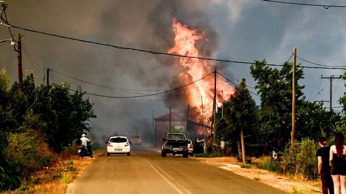 Incendiu într o zonă forestieră din zona Kokkinades din Argolida, 23 iunie - X Fire Fighting Greece