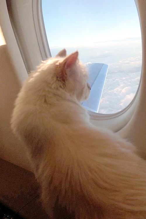 Zboară cu avionul personal