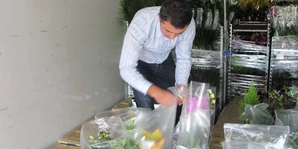 Florile suspecte