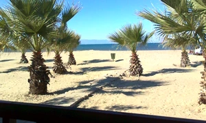 Unde cade vălul islamic al Turciei jpeg