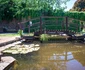 69 regina maria eastwell manor eastwell park ashford kent 40 jpg jpeg