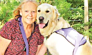 CLIIMA20130723 0050 1 jpeg