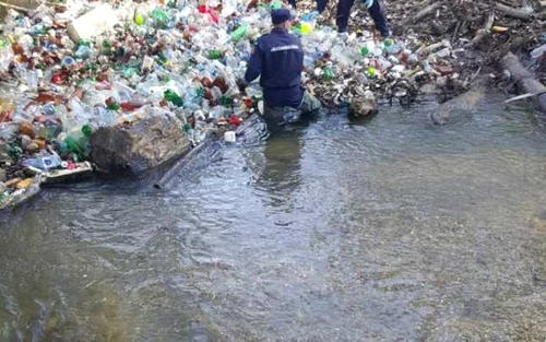 ecologizare jandarmi
