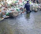 ecologizare jandarmi