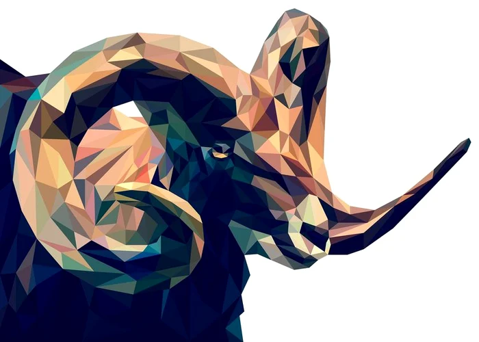 
    Sursa foto: Facebook  