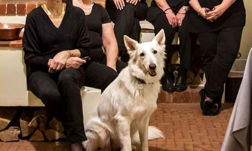 6 fiicele regelui mihai jpg jpeg