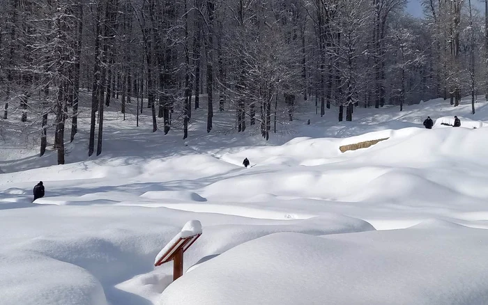 Iarnă în Sarmizegetusa Regia. Foto: Sorin Zgăvîrdean