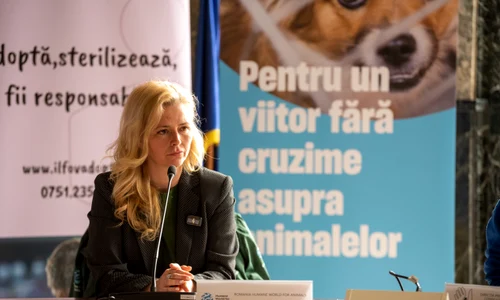 De ce ar trebui să te intereseze de unde vine carnea de pui pe care o mănânci JPG