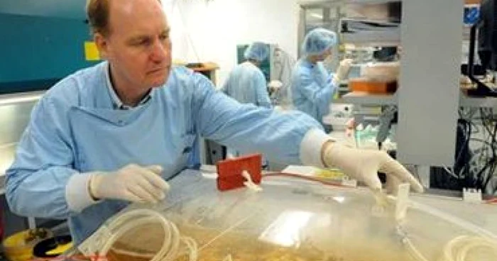 Laboratorul Baxter a finalizat primele vaccinuri împotriva gripei porcine