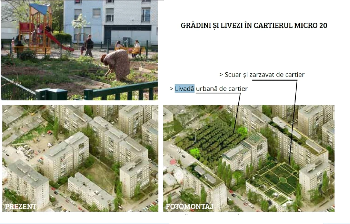 Pagină din studiul care recomandă livezi în loc de parcări la Galaţi FOTO C Crângan