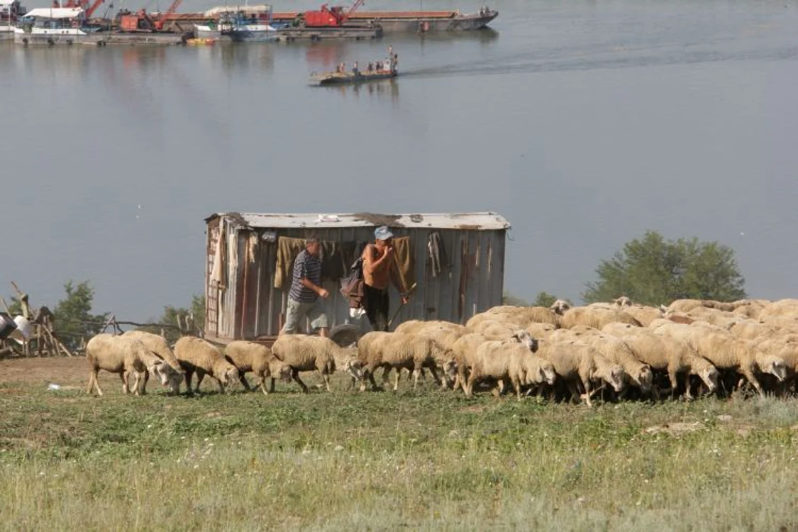 Piesaje de neuitat la malul Dunării
