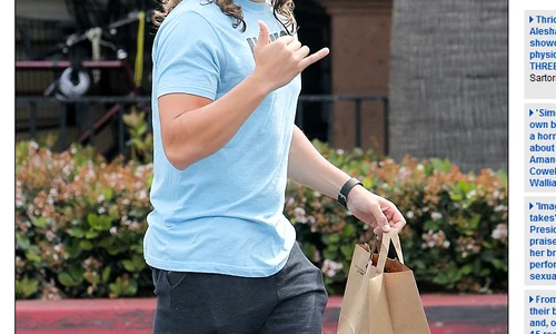 fiu arnold schwarzenegger png