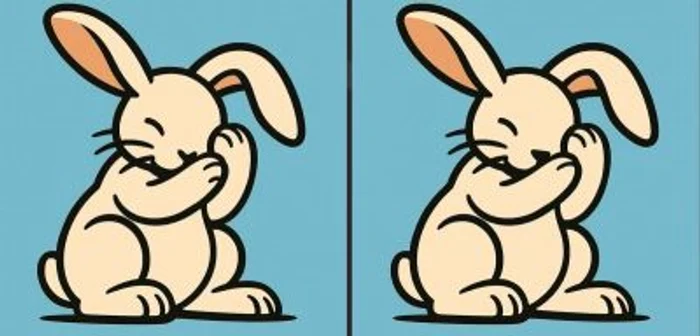 Test de tip puzzle / FOTO: Jagran Josh