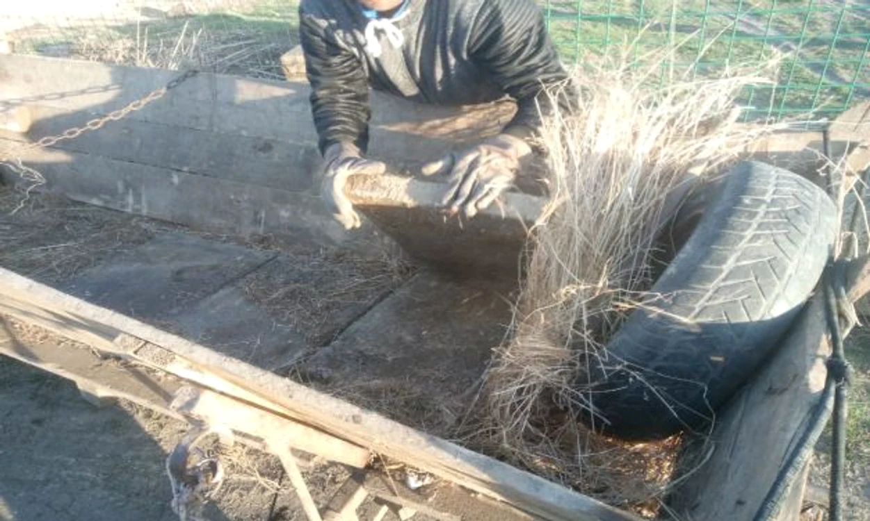 Dalele furate de hoţul din Folteşti FOTO Poliţia de frontieră