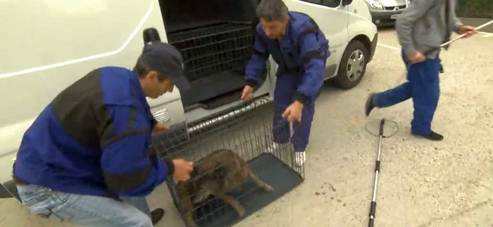 FOTO: Captură Spiegel TV