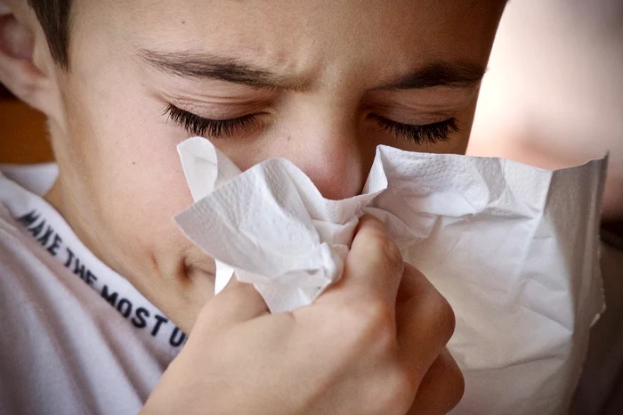 Virusurile coronariene pot provoca o serie de infecţii, de la o răceală la simptome asemănătoare SARS (sindrom respirator sever acut)Foto: pixabay
