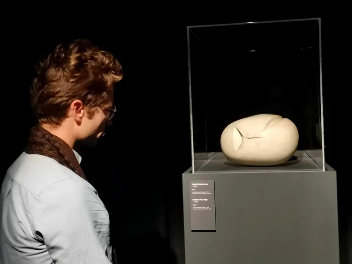 Expo Brâncuși FOTO Ștefan Both