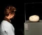 Expoziția Brâncuși de la Timișoara FOTO Ștefan Both
