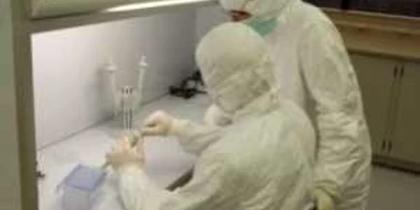 First two cases of local community swine flu in Romania: two students