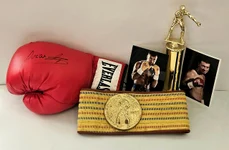 Foto Donatia Lucian Bute MNIR jpg