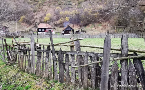 Runcu Mare Foto Daniel Guță ADEVĂRUL (31) jpg