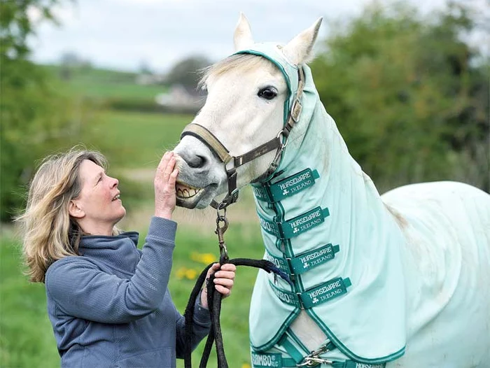 
    Leşină dacă-i intră o muscă-n grajd aşa că stăpâna dă cu insecticid  