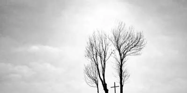 sony world photography