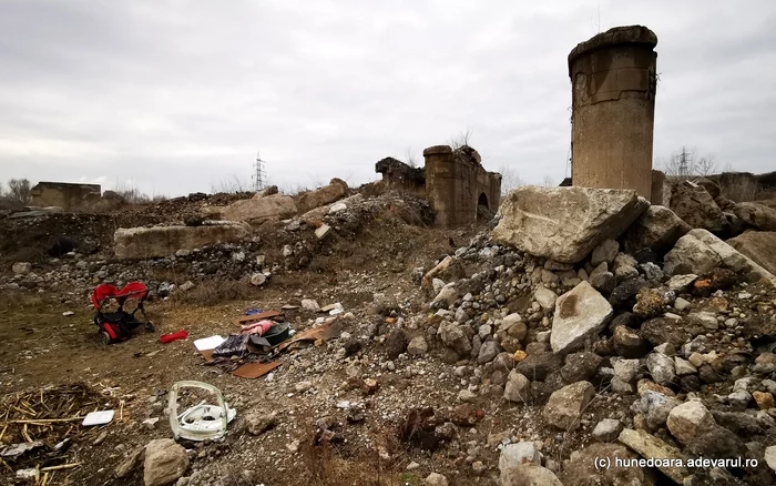Combinatul a ajuns astăzi o ruină / foto: Daniel Guță/Adevărul