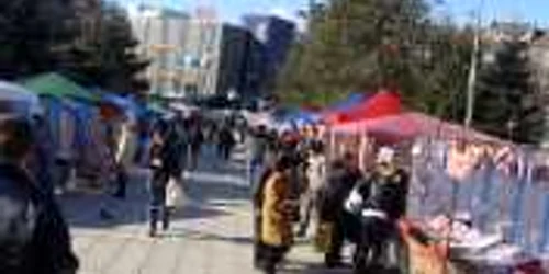 Ramnicu Valcea va candida printre orasele care vrea sa devina Capitala Orei Pamantului