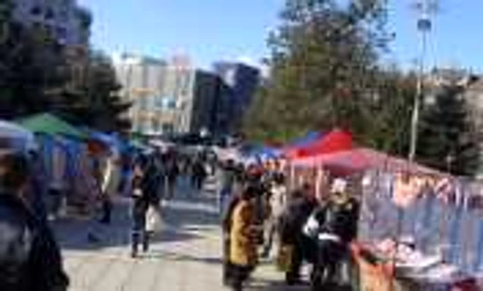 Ramnicu Valcea va candida printre orasele care vrea sa devina Capitala Orei Pamantului