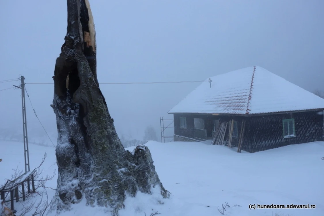 Iarna în Poiana Răchiţelii foto daniel guta adevarul