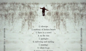 "Gustul pentru melodie" jpeg