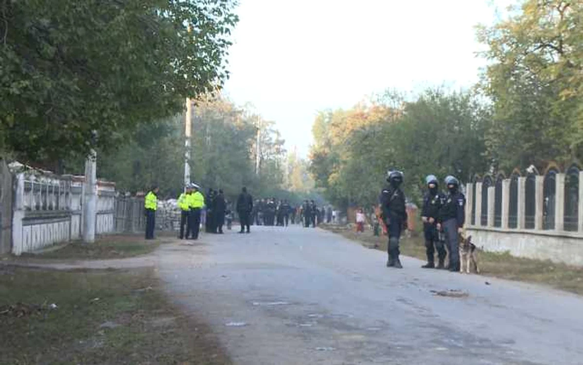perchezitii balteni