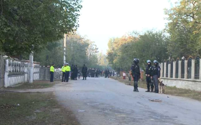 perchezitii balteni