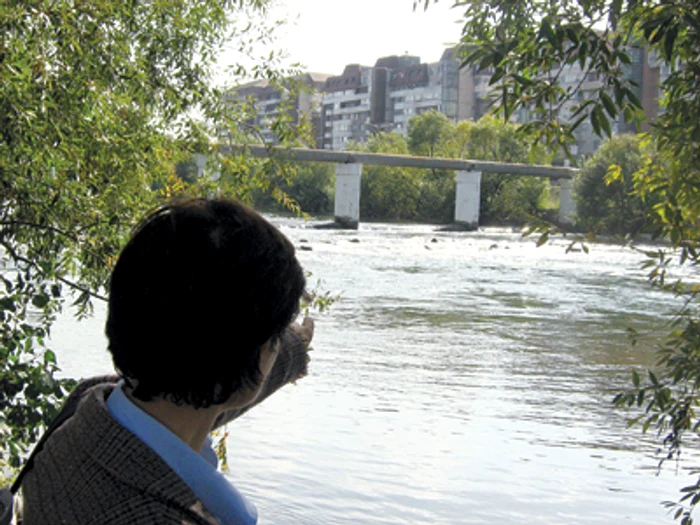 Oradea: Dispută pentru un pod nou la Silvaş