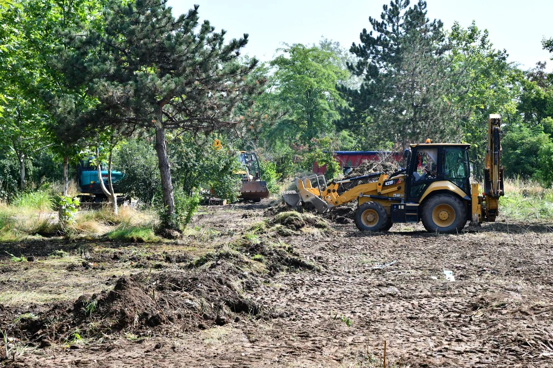 FOTO: Primăria Sectorului 6