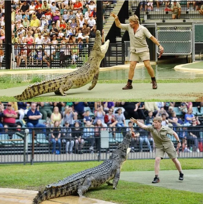 6 steve irwin main fiu jpg jpeg