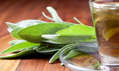 1 ceai de savie jpg jpeg