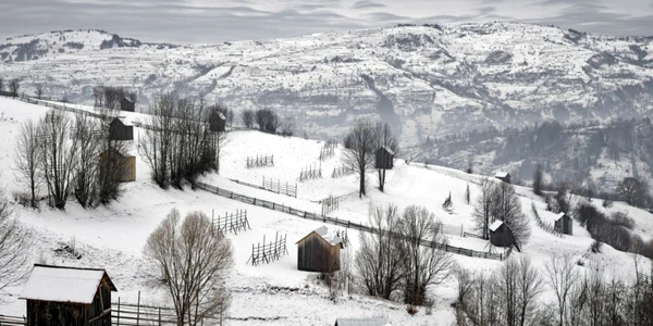 Tamas Dezso