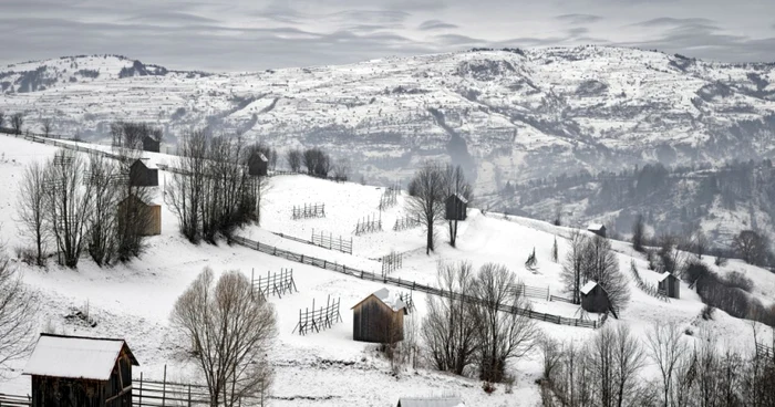 Fotografiile ungurului Tamas Dezso