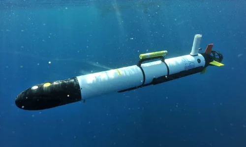 Parchetul Militar, sesizat după ce Forțele Navale au pierdut o dronă subacvatică jpeg