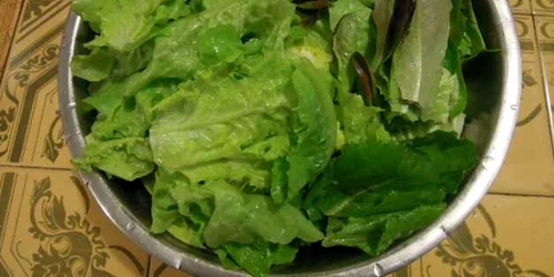 ciorba salata