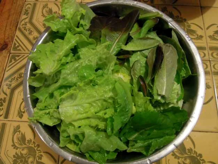 ciorba salata