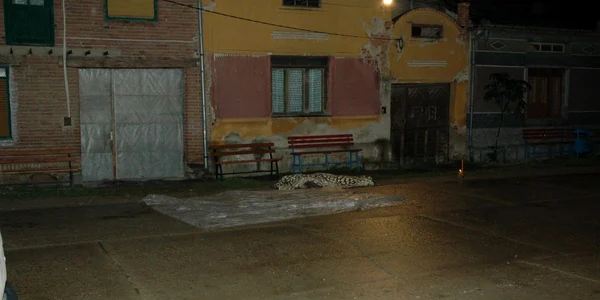 Tânărul a fost lăsat în balta de sânge și s-a stins imediat