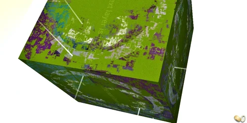 curiosity joc foto adevarul