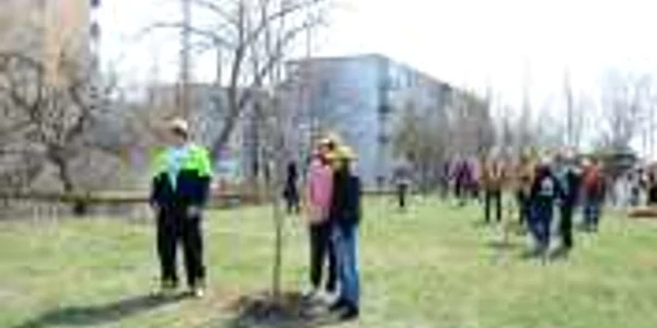 Copiii sunt la al doilea an consecutiv când plantează în acest parc Foto: Alex Policală